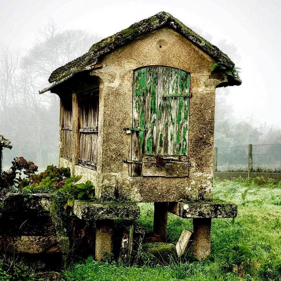 Old rustic cottage with green shutters in a misty grassy field