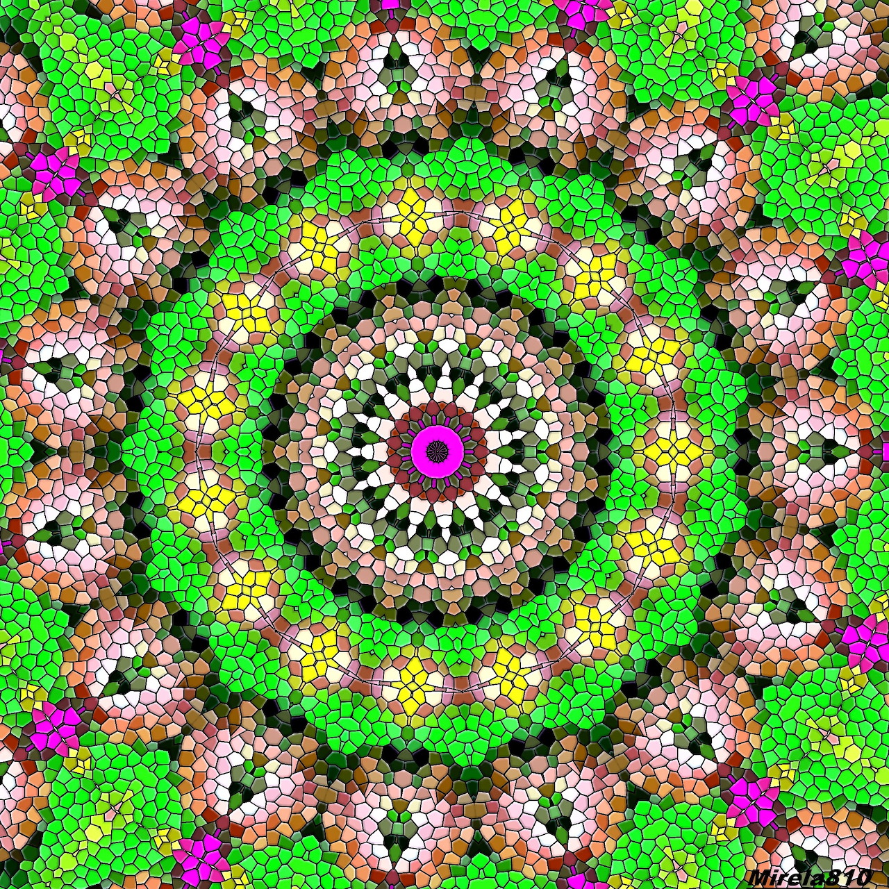 Vibrant Floral Mandala