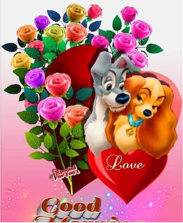 Lady and the Tramp Romance