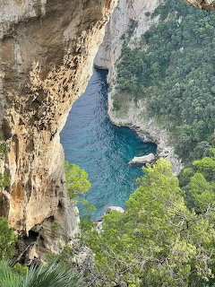 Rocky cliff overlooking a turquoise cove and green trees on Capri coast