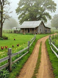 Weathered wooden farmhouse beside dirt road with white fence and chickens in fogy countryside