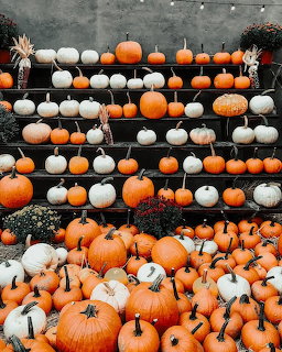 Rows of orange and white pumpkins on dark shelves with pumpkins piled on the ground below
