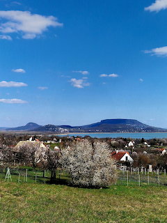 Spring Lake View from Hill