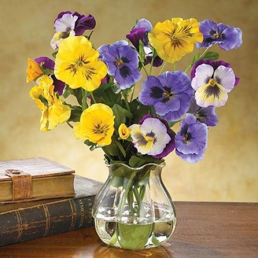 Yellow and purple pansies in a clear glass vase on a wooden table next to old books