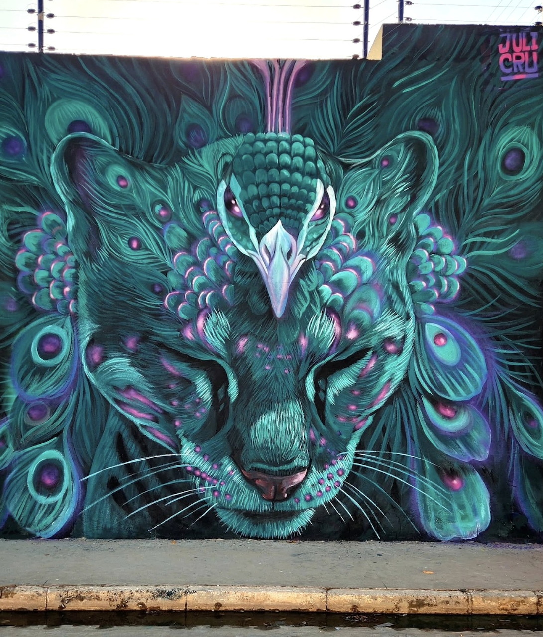 Colorful street art mural on an urban wall in Petrolina, Brazil