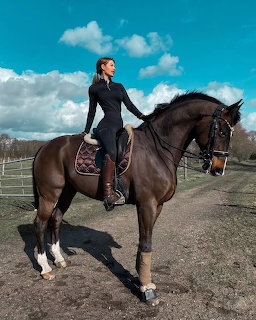 Woman in black riding outfit on a dark bay horse with white socks under blue sky