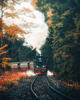 Steam train on tracks through autumn forest with orange trees and white smoke billowing