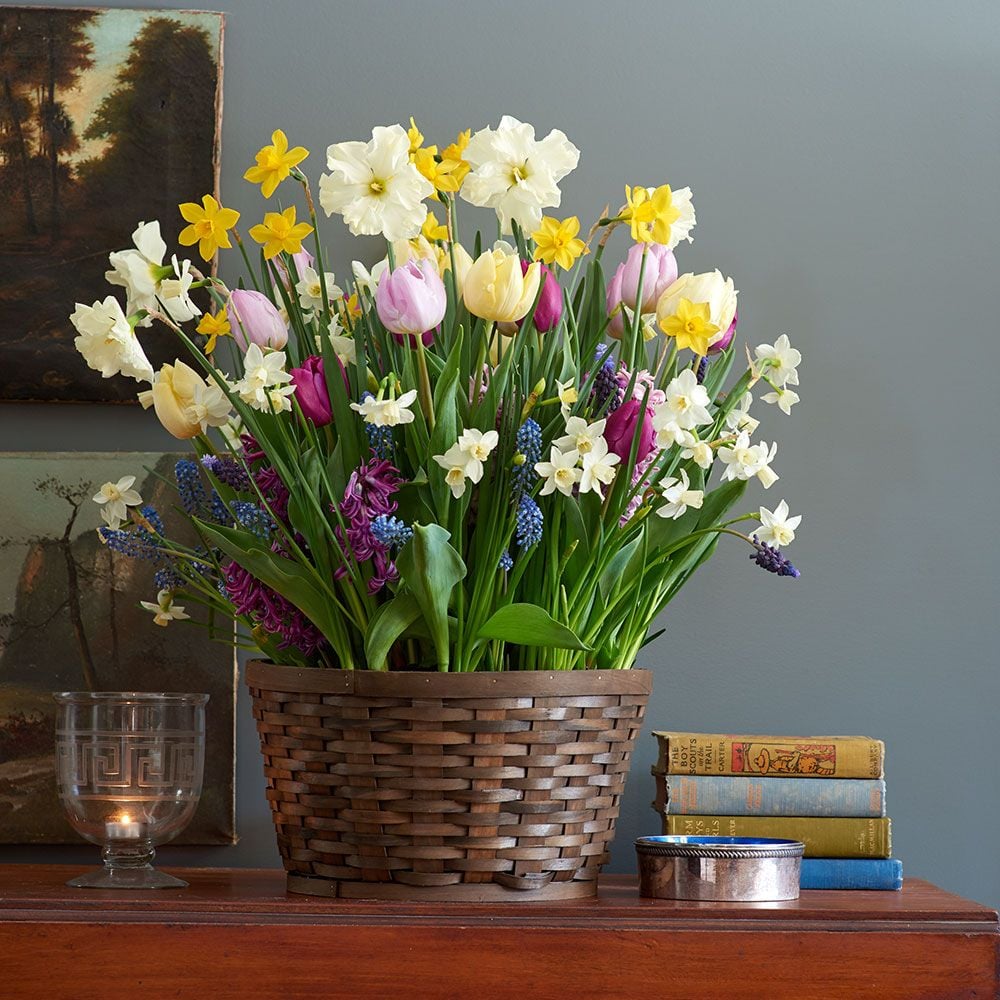 Spring Blooms in Basket