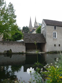 Church spires above stone buildings beside a calm canal with flowers in Chartres, France