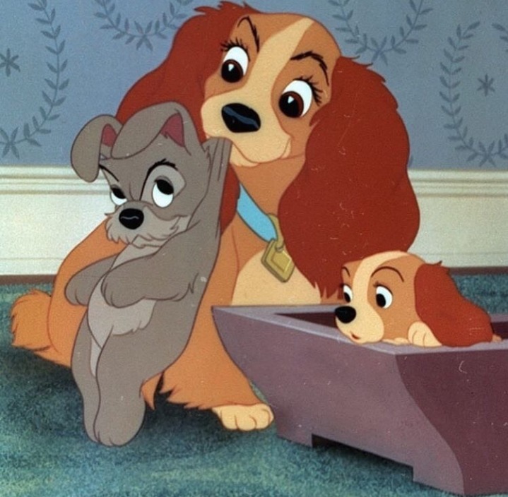 Lady and the Tramp