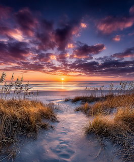 Beach Sunset with Dunes