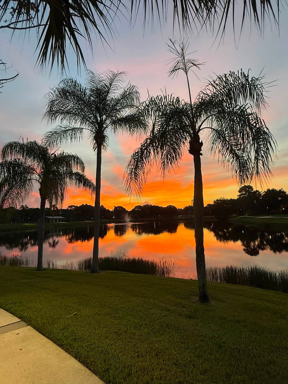 Palm trees by a lake at sunset with colorful sky reflections on the water