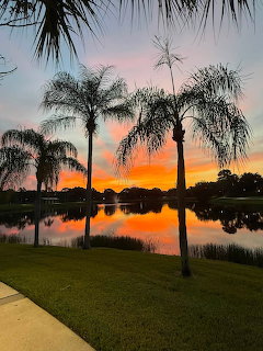 Palm Trees at Sunset