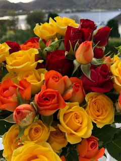 Bouquet of red, yellow, and orange roses with green leaves outdoors