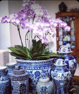 Orchids and Blue White Porcelain