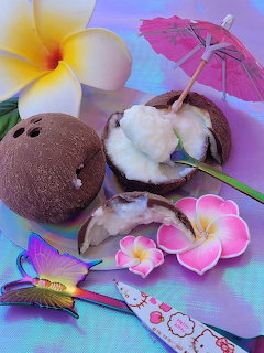 Chocolate Coconuts at the Beach