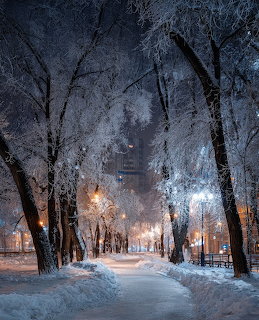 Snowy path through frost-covered trees with warm streetlights at twilight