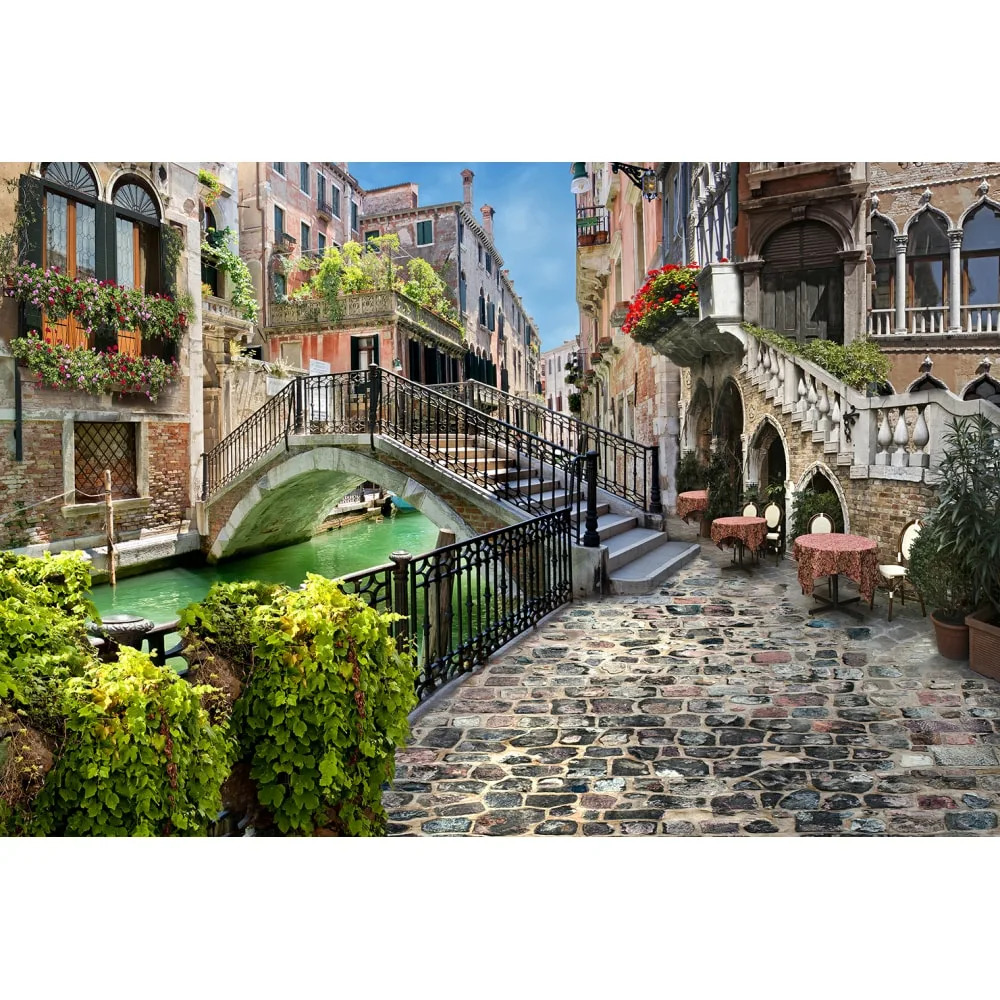 Venice Canal Bridge Scene