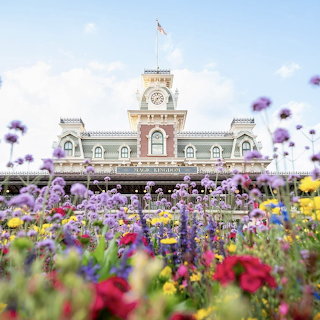 Magic Kingdom Train Station Flowers