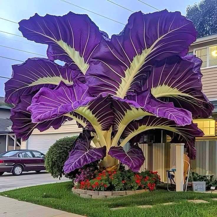 Large fantastical purple and yellow plant sculpture towering over suburban house with lawn and garden bed
