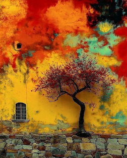 Silhouette of bare tree against weathered colorful stucco wall with cobblestone ground and barred window