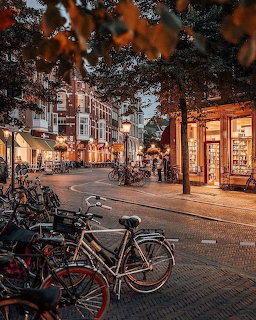 Bicycles parked along a tree-lined city street at sunset with warmly lit shops