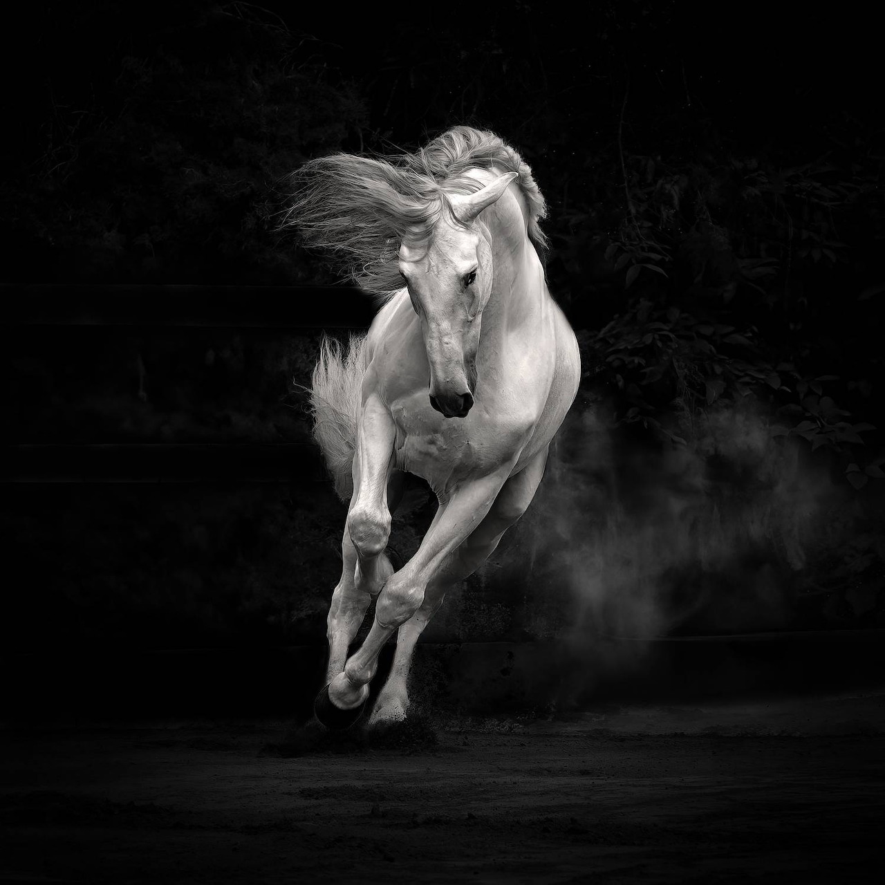 Black and white image of a white horse running through dust in a dark setting