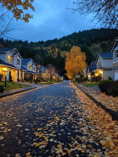 Residential street at dusk with houses, autumn trees, and fallen leaves covering the road