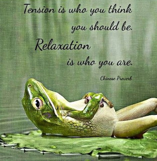 Green frog lying on a lily pad with a relaxation quote above it