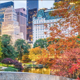 Central Park pond with vibrant fall trees and NYC buildings behind