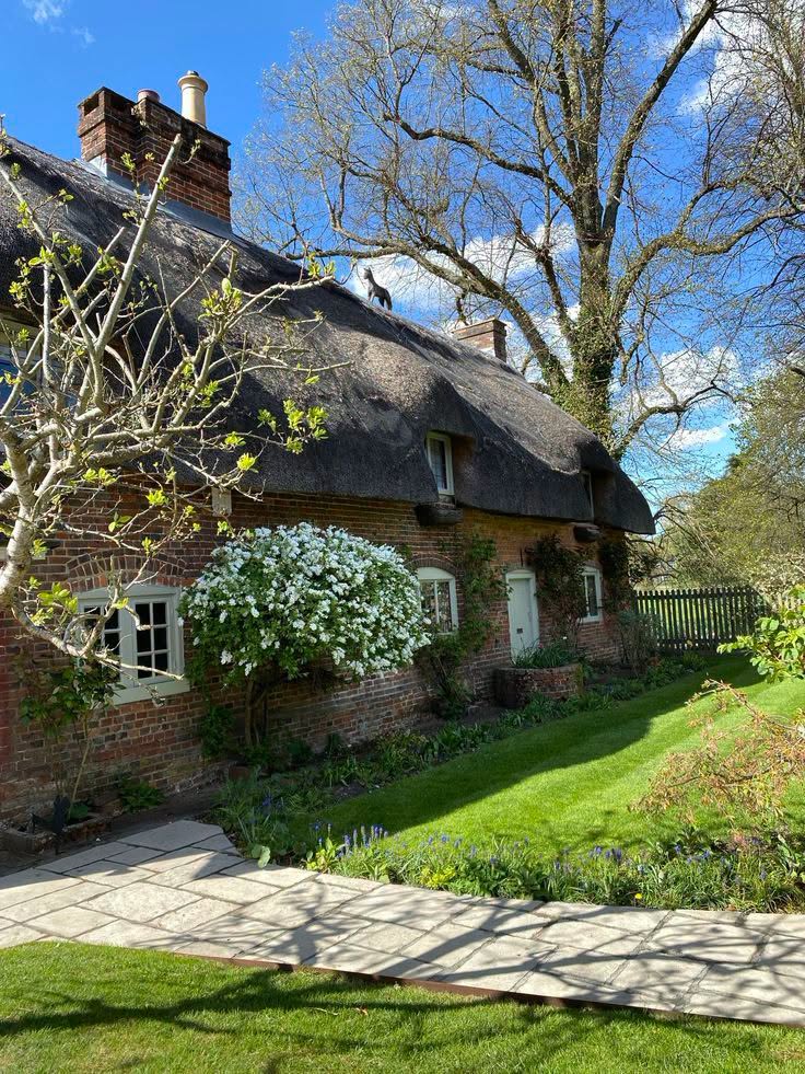 Traditional English cottage with thatched roof and ivy-covered walls in sunny countryside setting
