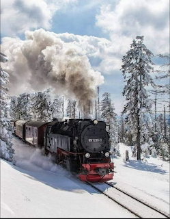 Steam train moving through snowy forest with large plume of white smoke and frost-covered pine trees