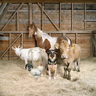 Farm Family