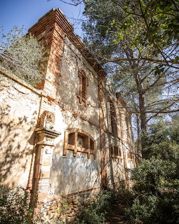 Abandoned old brick house with arched windows surrounded by trees and overgrown greenery