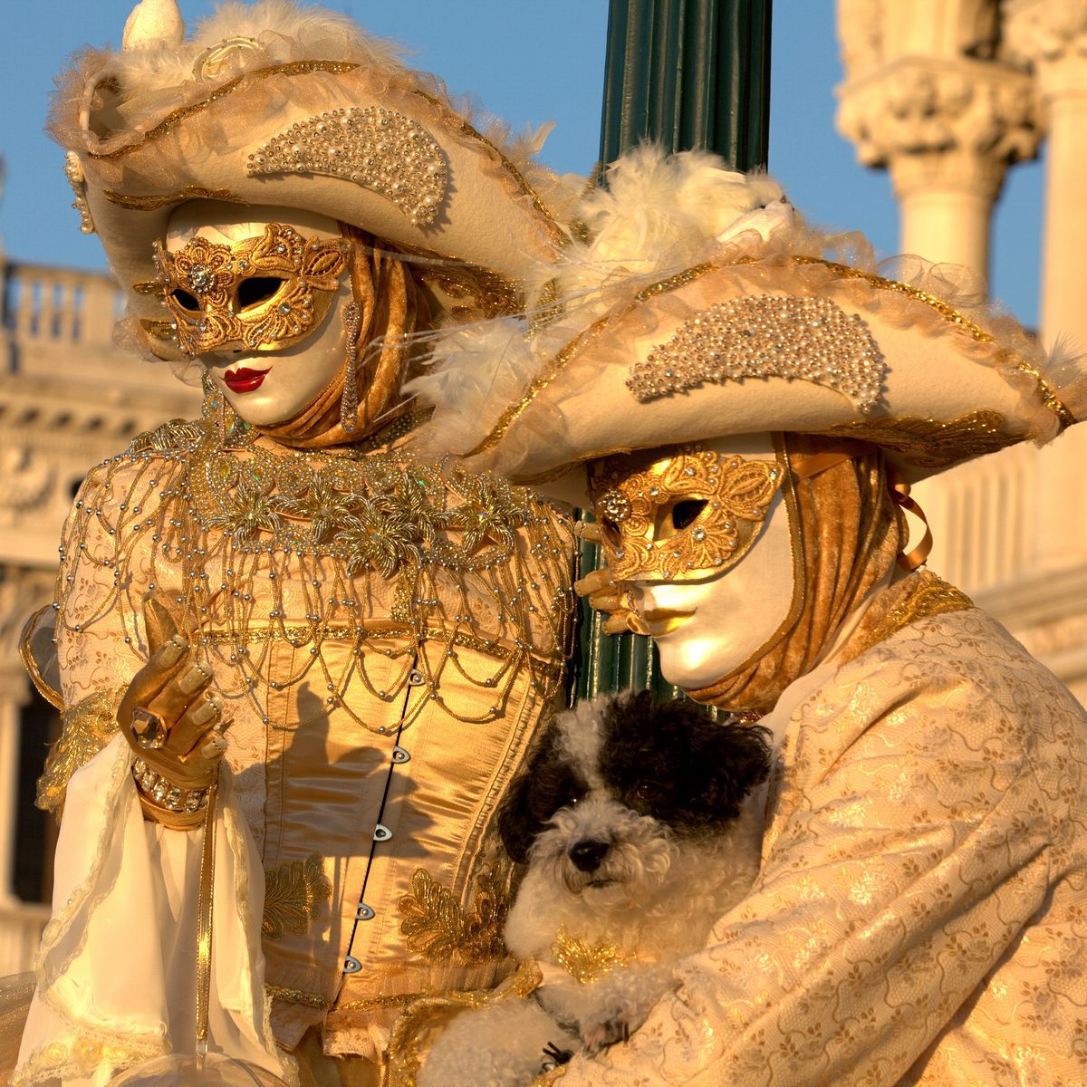 Two figures in elaborate golden Venice Carnival costumes and masks holding a small fluffy dog