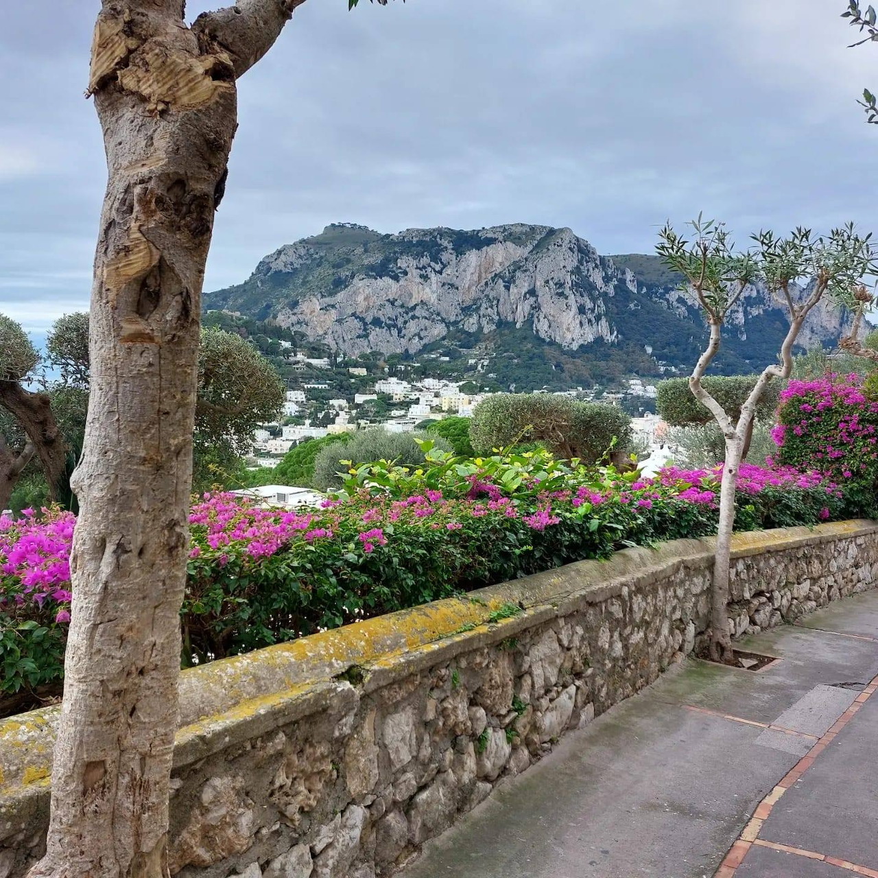Mediterranean Coastal Town Mountain View