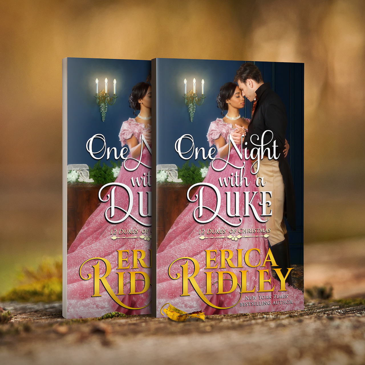 One Night with a Duke Book Cover