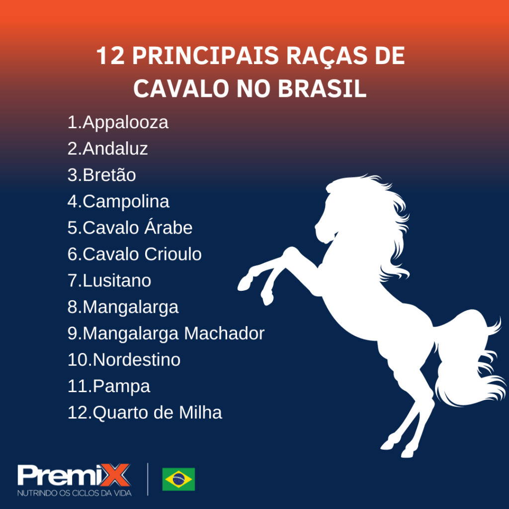 Brazilian Horse Breeds List