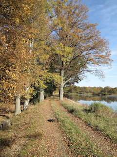 Autumn Pond Path