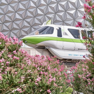 Epcot Monorail and Spaceship Earth