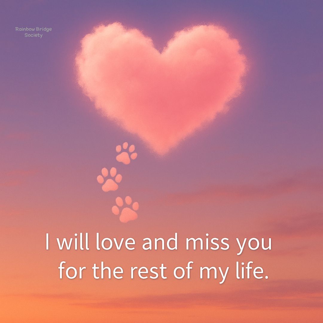 Pink heart-shaped cloud in a sunset sky with paw prints and a memorial message