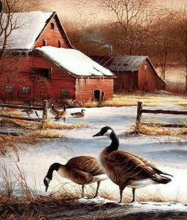 Two Canada geese standing near a red barn with snow on the roof in an autumn farm setting
