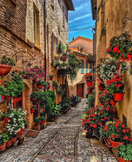 Narrow Italian alley with flower-lined walls and cobblestone path between old buildings