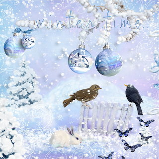 Wintertime Birds