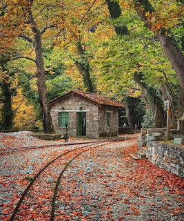 Small stone cottage by curved tracks in an autumn forest with fallen leaves