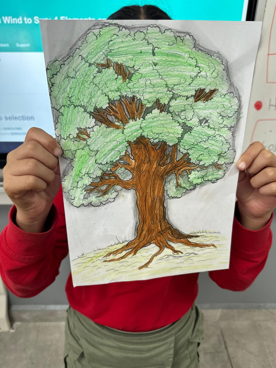 Paper tree display on a classroom wall with colorful leaves