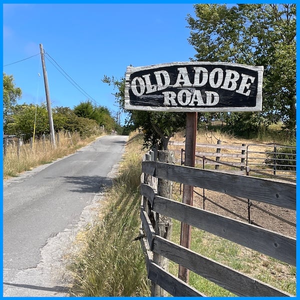 Wooden Old Adobe Road sign next to rural road with fence and trees under blue sky