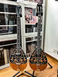 Two Greek bouzouki instruments standing in front of a bookshelf indoors