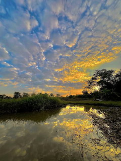 Colorful sunset sky with scattered clouds reflected in a still lake surrounded by green vegetation