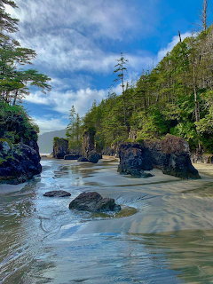 Rocky beach with sea stacks and forest at San Josef Bay